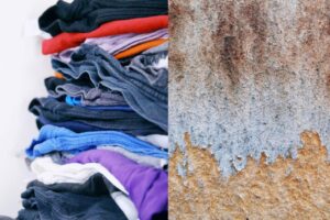 How to Remove Mildew Odour from Clothes
